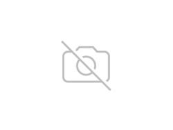 5 door Diesel Hatchback